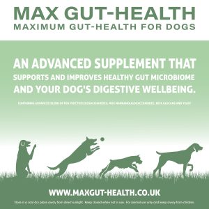max gut health for dogs label