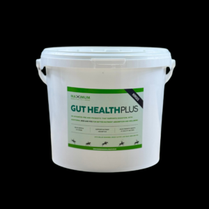 Maximum Gut Health Plus