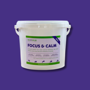 Maximum Focus & Calm