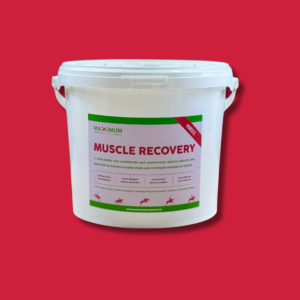 Maximum Muscle Recovery with Electrolytes