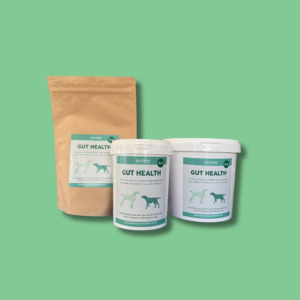 Maximum Gut Health for Dogs