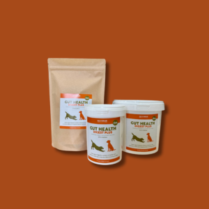 Maximum Gut Health Digest Plus for Dogs (With Pumpkin)